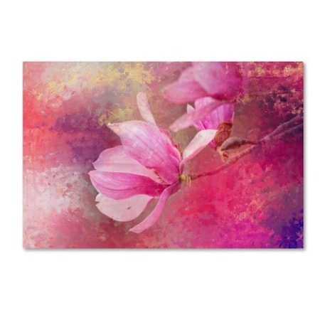 Jai Johnson 'Pink Tulip Magnolia' Canvas Art,30x47